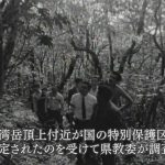 1969年：奄美の文化財調査