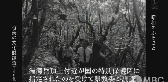 1969年：奄美の文化財調査