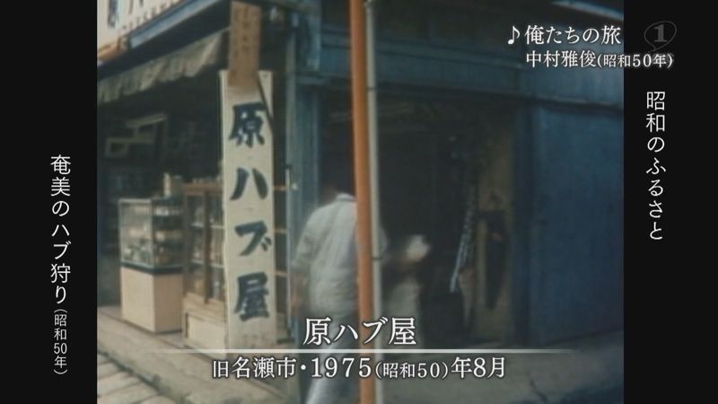 1975年：「奄美大島の夏」ハブ狩り