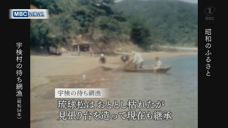 1979年：宇検村の待ち網漁