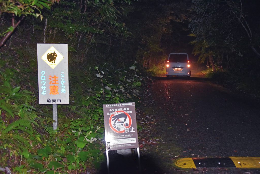 ナイトツアーの増加で野生生物への影響が懸念される三太郎峠＝３月、奄美市住用町