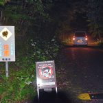 ナイトツアーの増加で野生生物への影響が懸念される三太郎峠＝３月、奄美市住用町