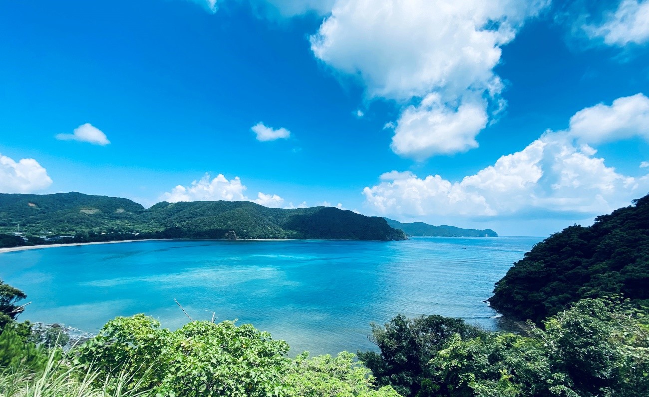 きらめく 青 真夏の海 人々の心癒やす 奄美大島 あまみじかん